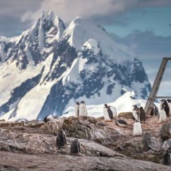 A-flock-of-penguins-Antarctic-Mountains.jpg